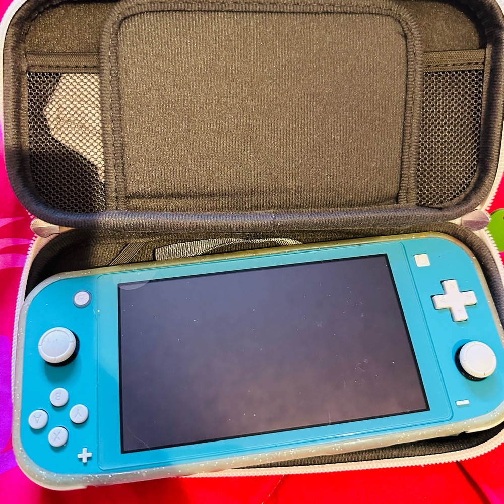 Two Nintendo Switch Lites